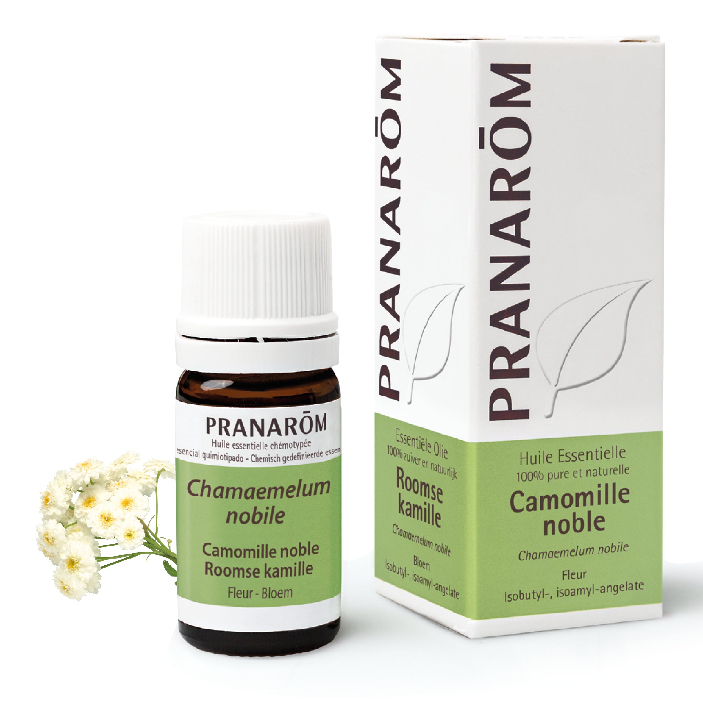 HE CAMOMILLE ROMAINE BIO 5 ML