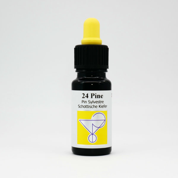 ODIN 24 PINE 10ML