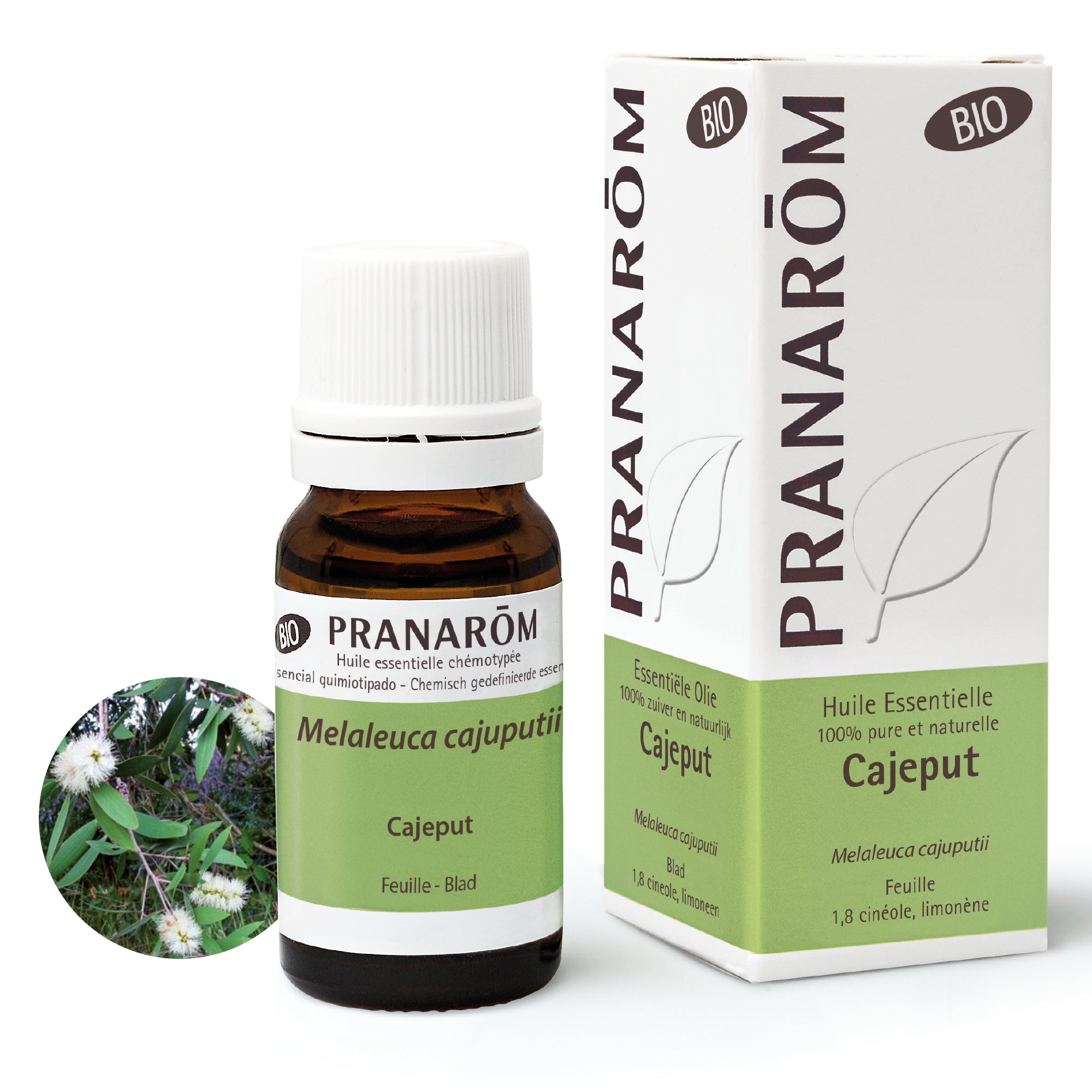 HE CAJEPUT BIO 10ML