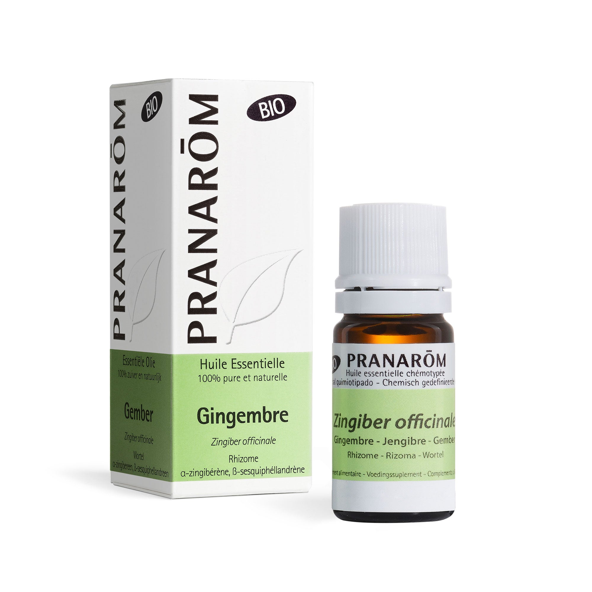 HE GINGEMBRE BIO 10 ML