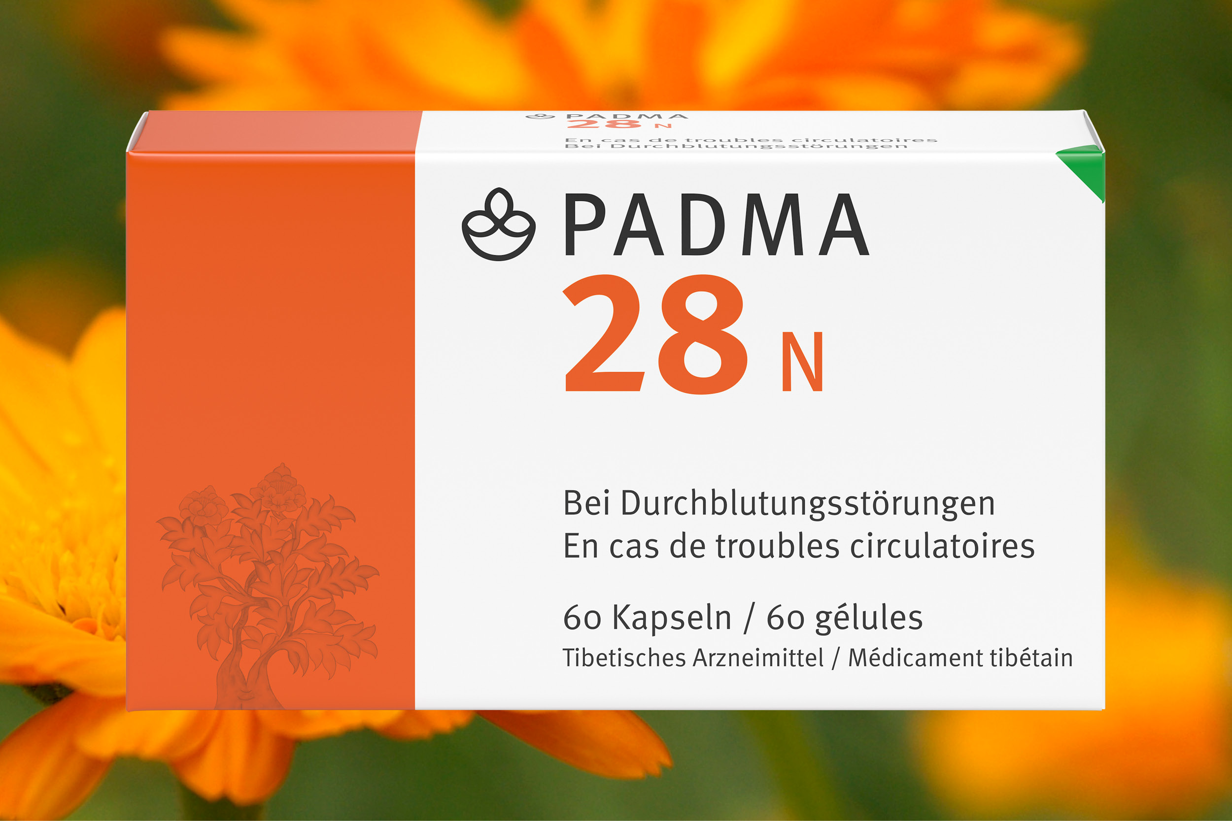 PADMA 28